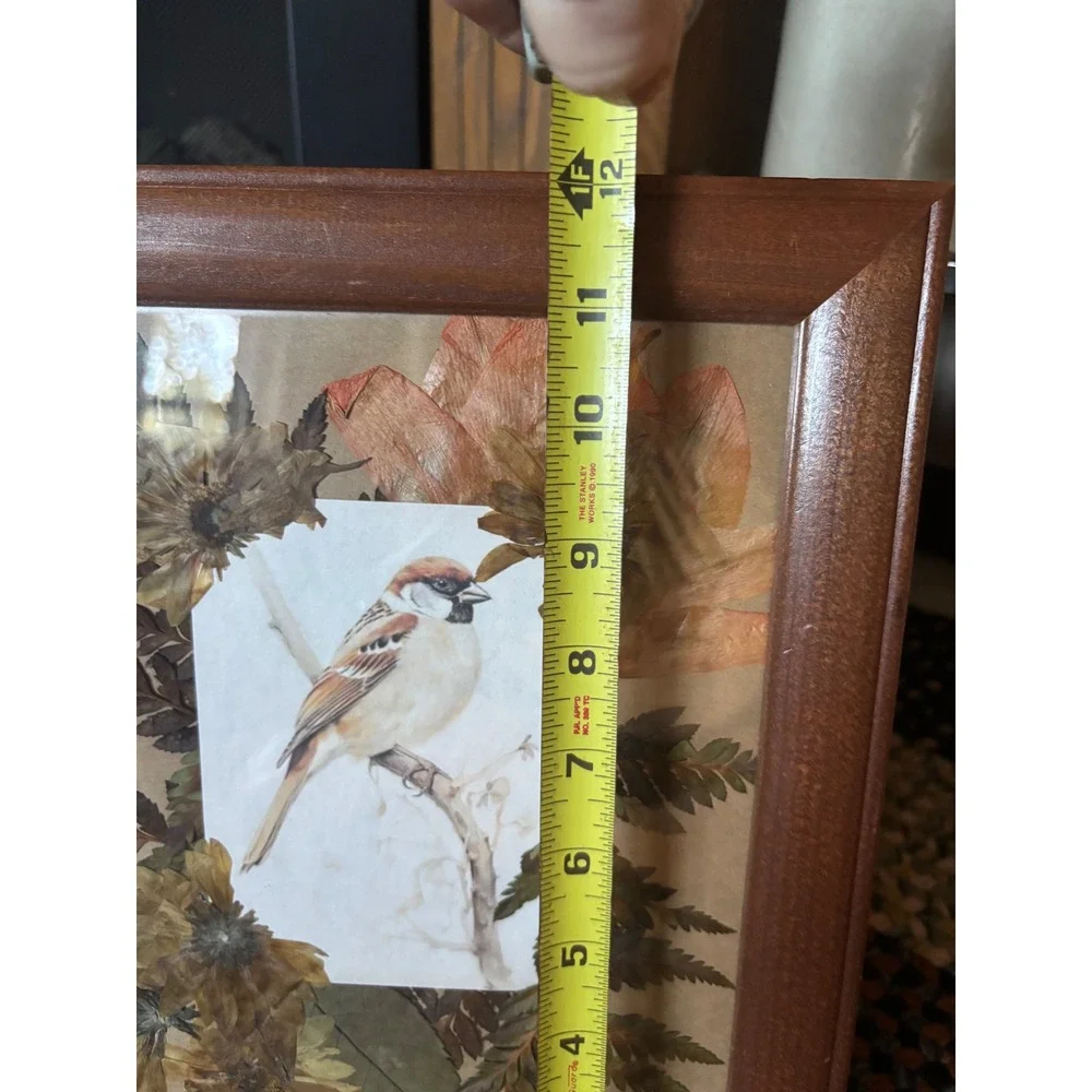 Vintage Framed Pressed Flower Bird Art Wood Frame Botanical Wall Decor 10x12
